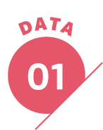 DATA 01