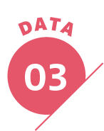 DATA 03