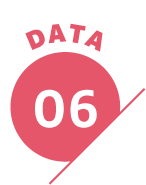 DATA 06