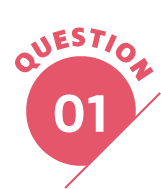 QUESTION 01